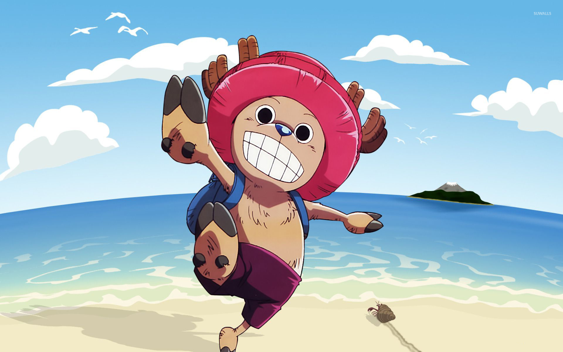 Tony Tony Chopper: The Adorable Doctor with a Big Heart
